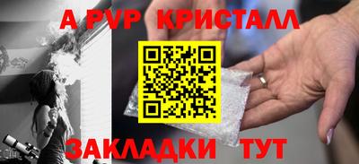 амф Гусев