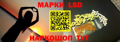 амф Гусев