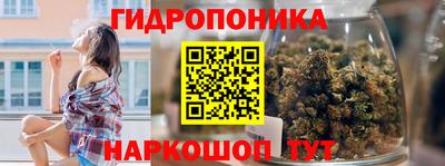 амф Гусев