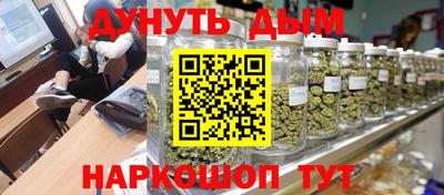 амф Гусев