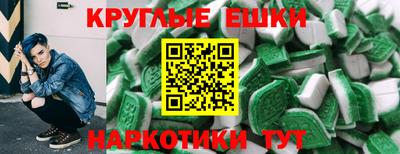 амф Гусев