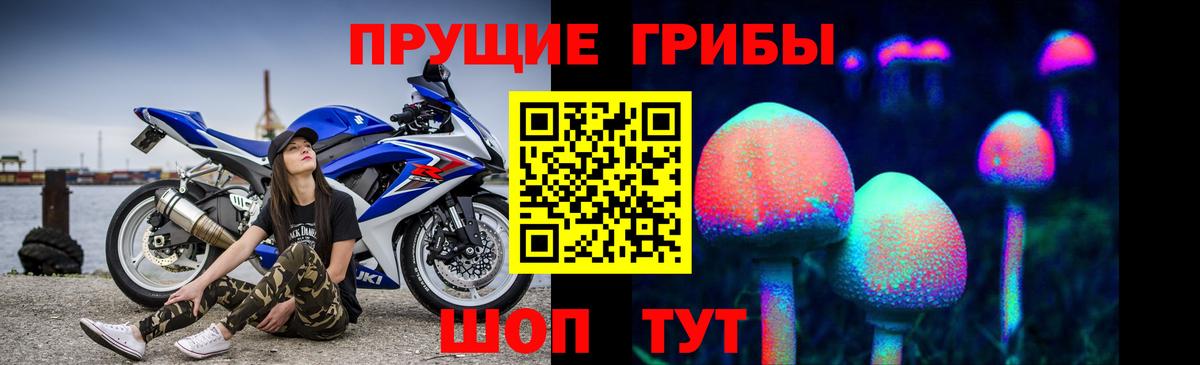 Псилоцибиновые грибы Psilocybine cubensis Валуйки
